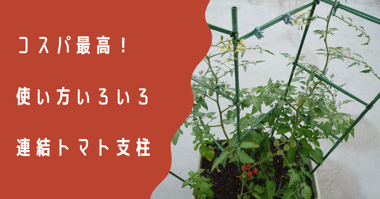 トマトの支柱の種類 – トマト 支柱 代用 : 支柱の立て方 いろいろな立て方と誘引の仕方 – NXFJO